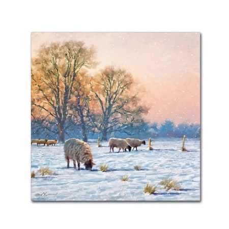 The Macneil Studio 'Winter Sheep' Canvas Art,24x24